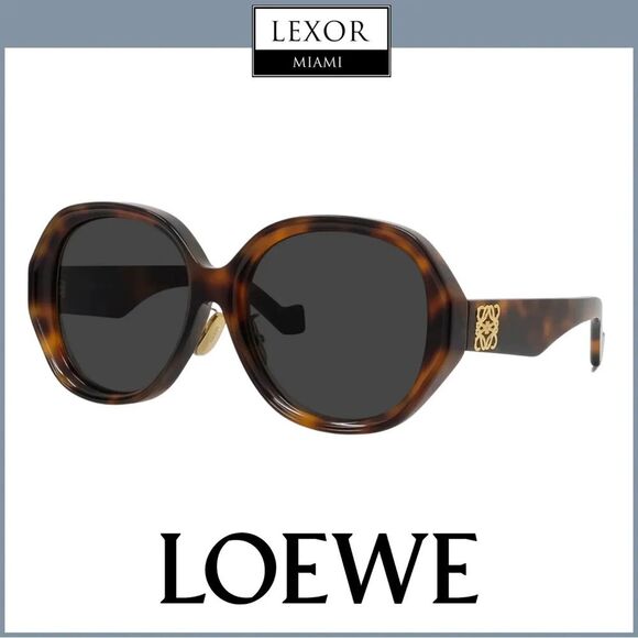 NEW LOEWE ACETATE LW 40080U 52A HAVANA GOLD AUTHENTIC SUNGLASSES 57-18 main image 4